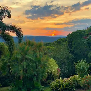 Bed & Breakfast Manor, Daintree